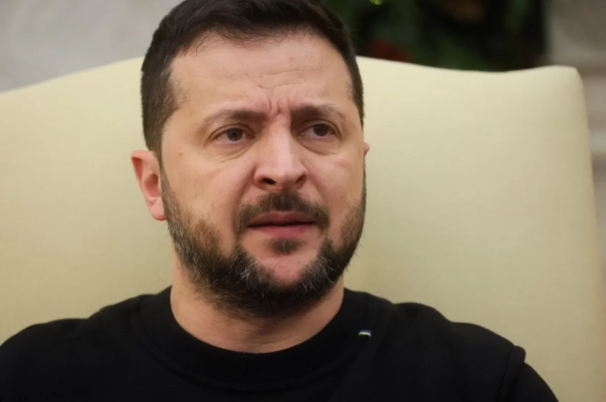 Украинская телеведущая Егорова назвала Зеленского главной проблемой страны